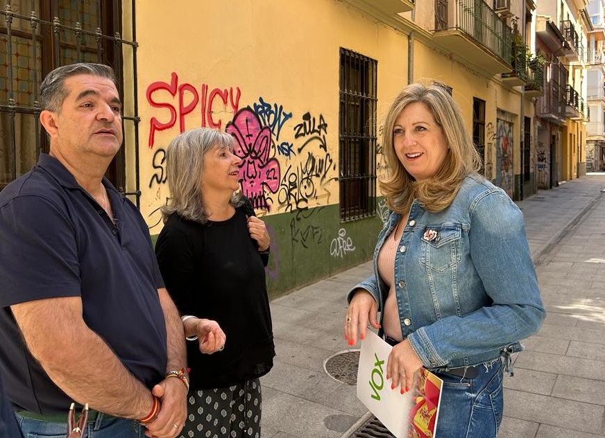 Las pintadas realizadas por vándalos en los barrios de Granada serán sancionadas por VOX