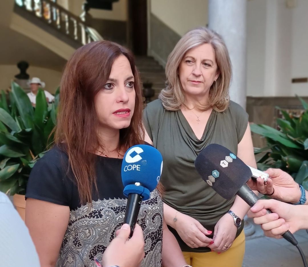 VOX llevará al pleno granadino el respeto al arbolado, el parque infantil y las condiciones de seguridad del mercadillo del Zaidín en Baden Powel