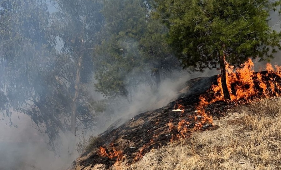 La Unidad de Policía Adscrita detiene a ocho personas en Andalucía desde que se activara la época de peligro alto de incendios forestales