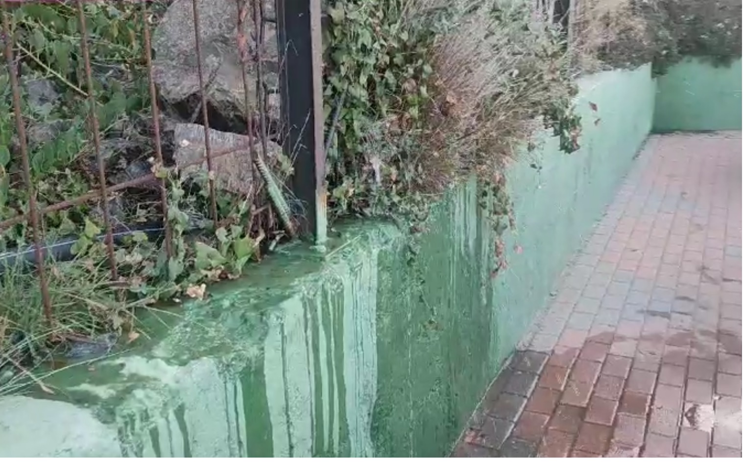 IU solicita al Ayuntamiento revisar y modernizar la infraestructura de riego de jardines para desperdiciar