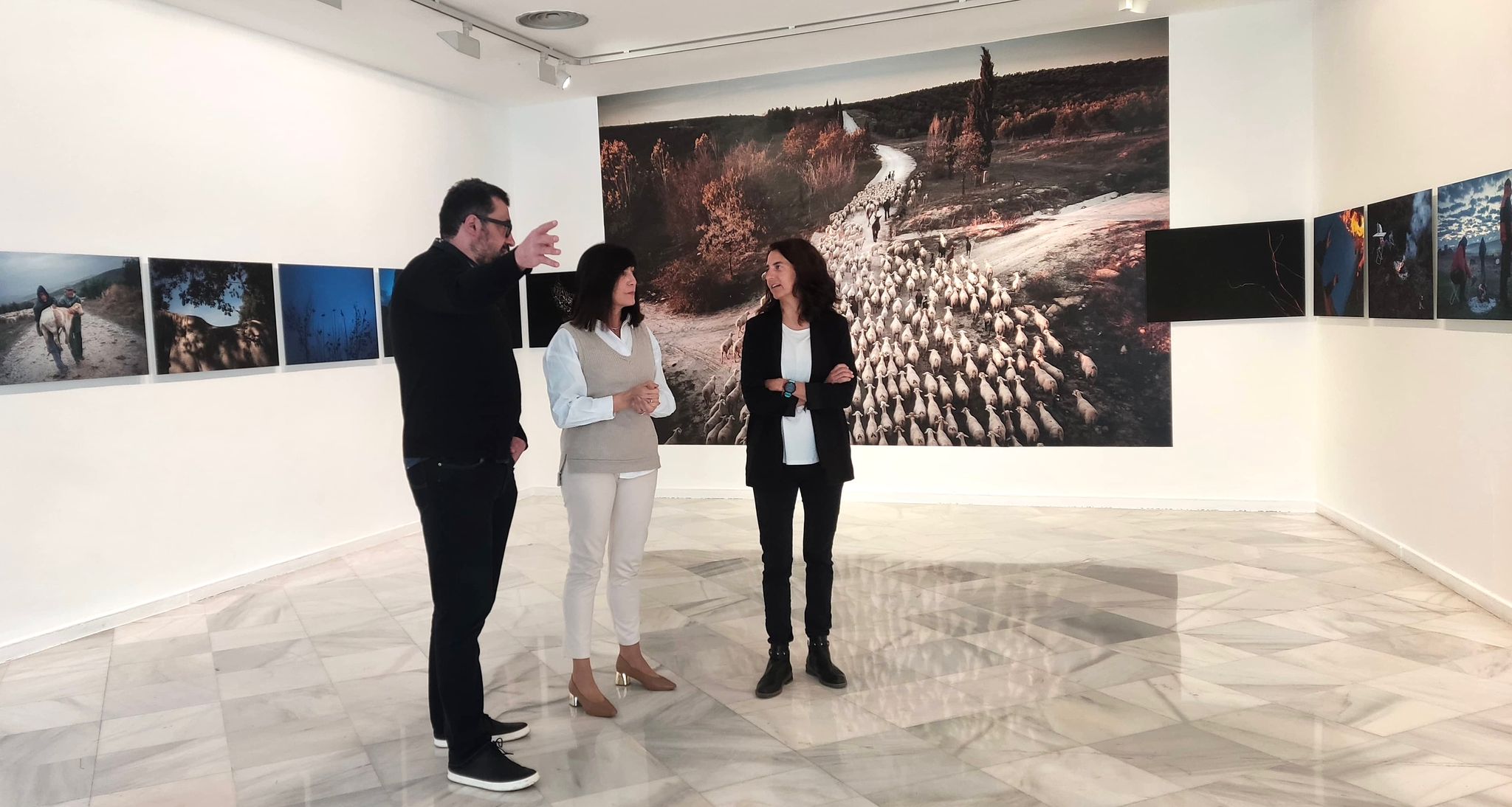 El Palacio de Condes de Gabia recoge la muestra 'Buena sombra' con los mejores trabajos de la granadina Susana Girón