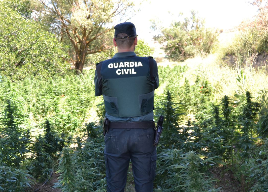 Detenidos cinco jvenes que asaltaron una vivienda buscando el dinero de la venta de una plantacin de marihuana en Pulianas
