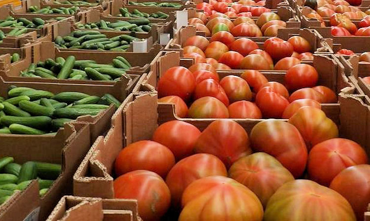 La Consejera de Agricultura intensifica el control de reetiquetado y trazabilidad de las importaciones hortofrutcolas en Andaluca