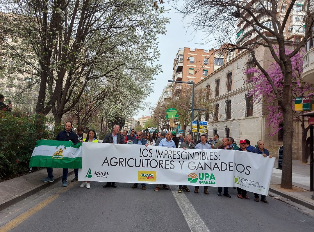 Cien tractores toman las calles de Granada 
