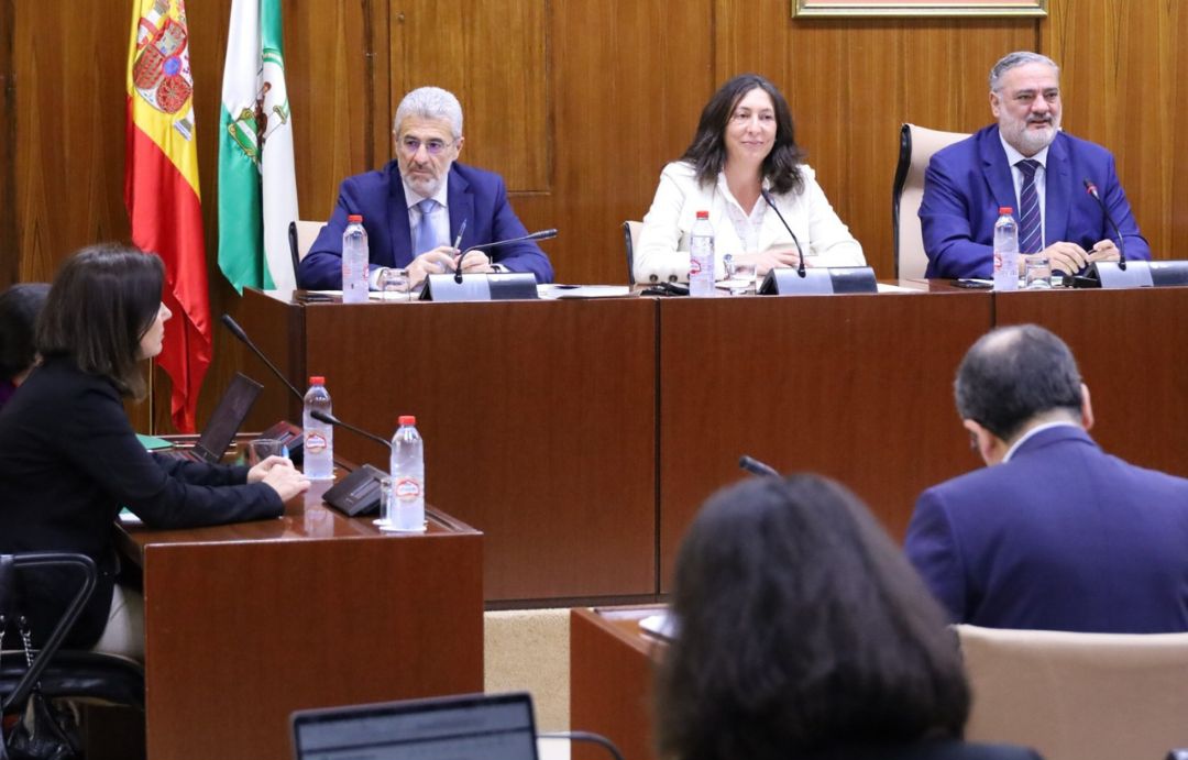 El Observatorio Estatal posiciona al sistema andaluz de dependencia entre los tres mejor valorados de España