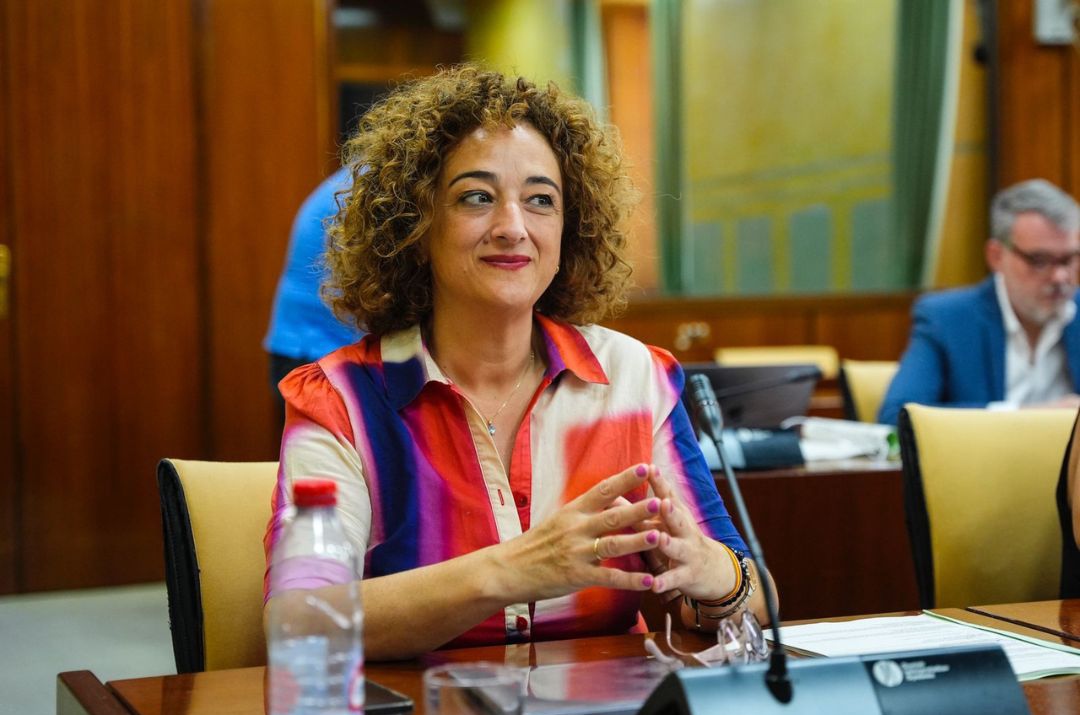 El Parlamento de Andalucía aprueba una iniciativa del PP para reclamar al Gobierno de Sánchez el desdoblamiento de la N-432 y su conversión en autovía
