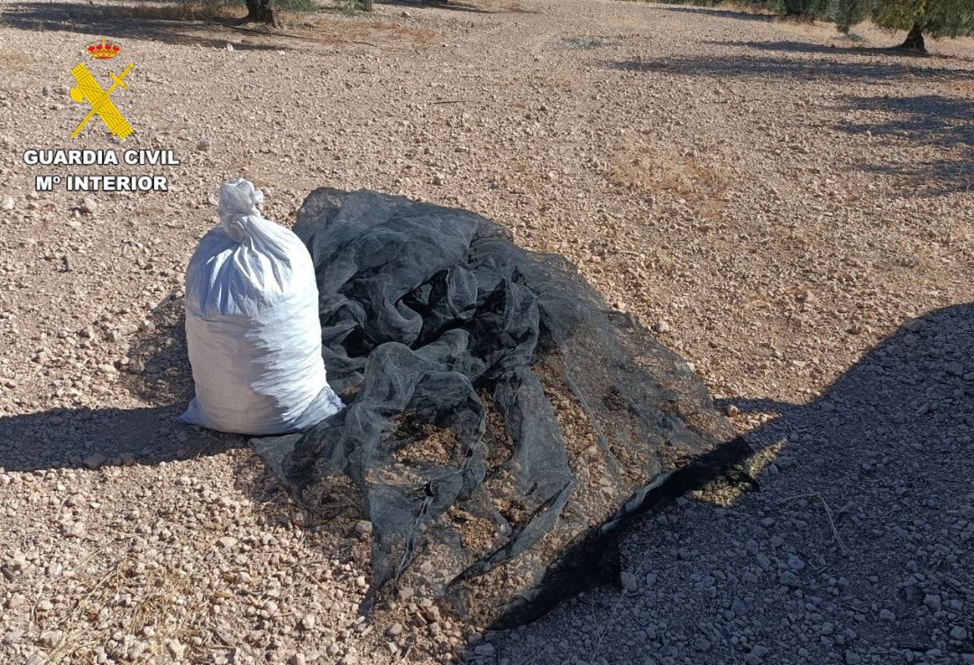 Se investiga a un hombre por hurto de almendras en un paraje de Cijuela  