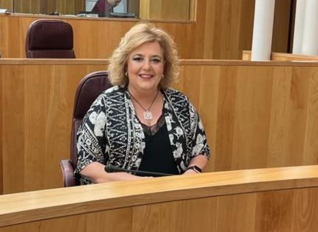 El PSOE plantea a la Diputacin que estudie la creacin de parques de bomberos para reducir el tiempo de respuesta en el Valle, Alpujarra y Poniente 