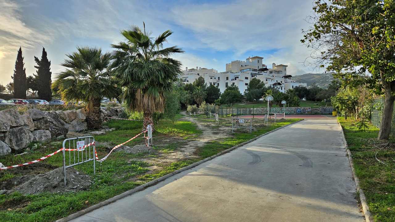 Este domingo, 8 de diciembre, se celebra en Salobrea una reforestacin en la zona verde situada junto a la calle Miguel Hernndez