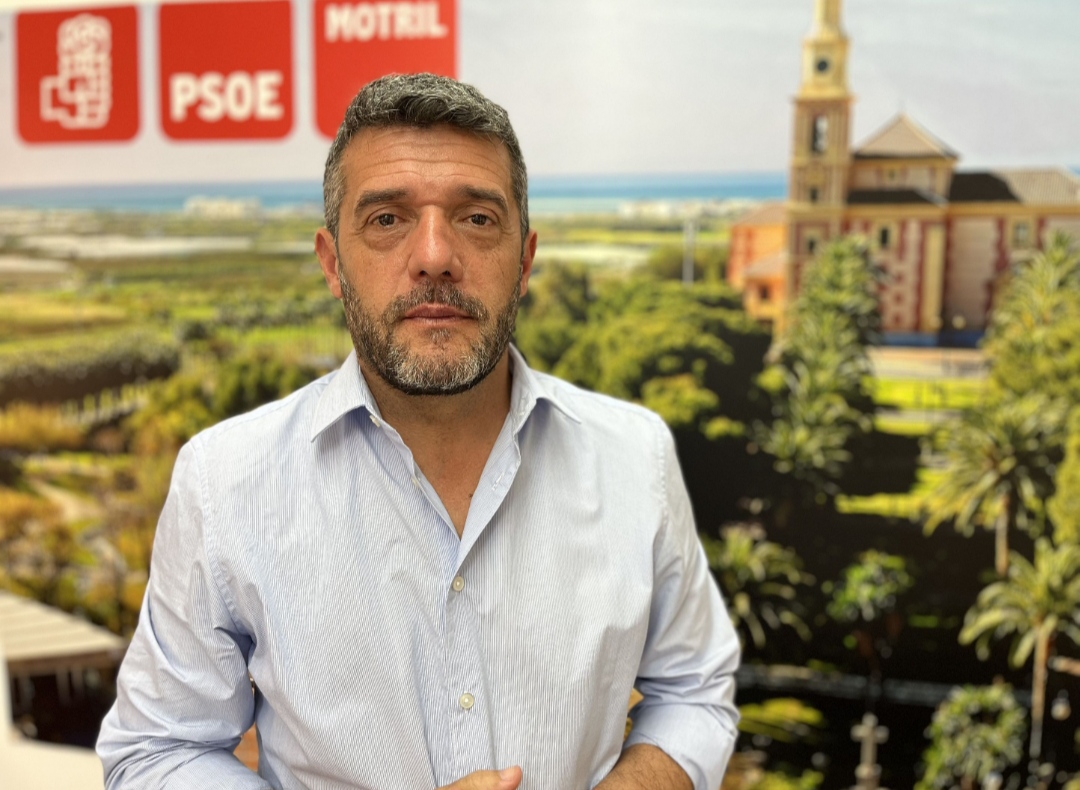 El PSOE manifiesta su apoyo a la iniciativa para que el tren AVE entre Granada y Madrid haga el trayecto sin paradas