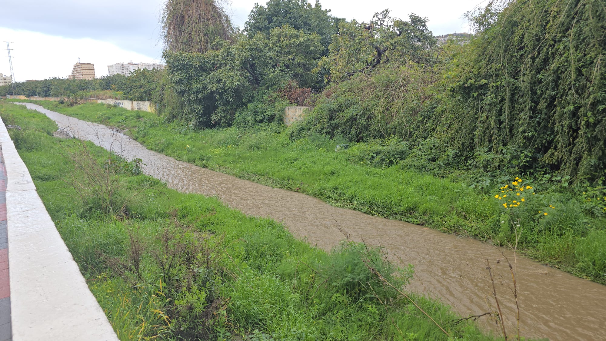 Agricultores sexitanos reiteran su petición de extraer el agua salada del acuífero con los pozos del ayuntamiento