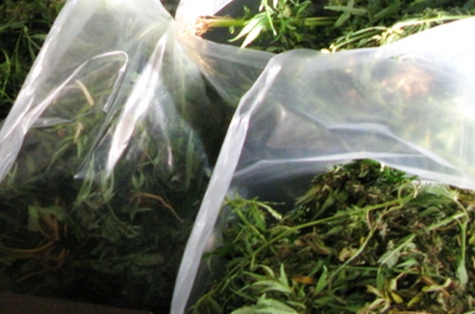 Detenida una mujer con 53 kilos de marihuana tras sufrir un accidente de tr�fico en Campot�jar