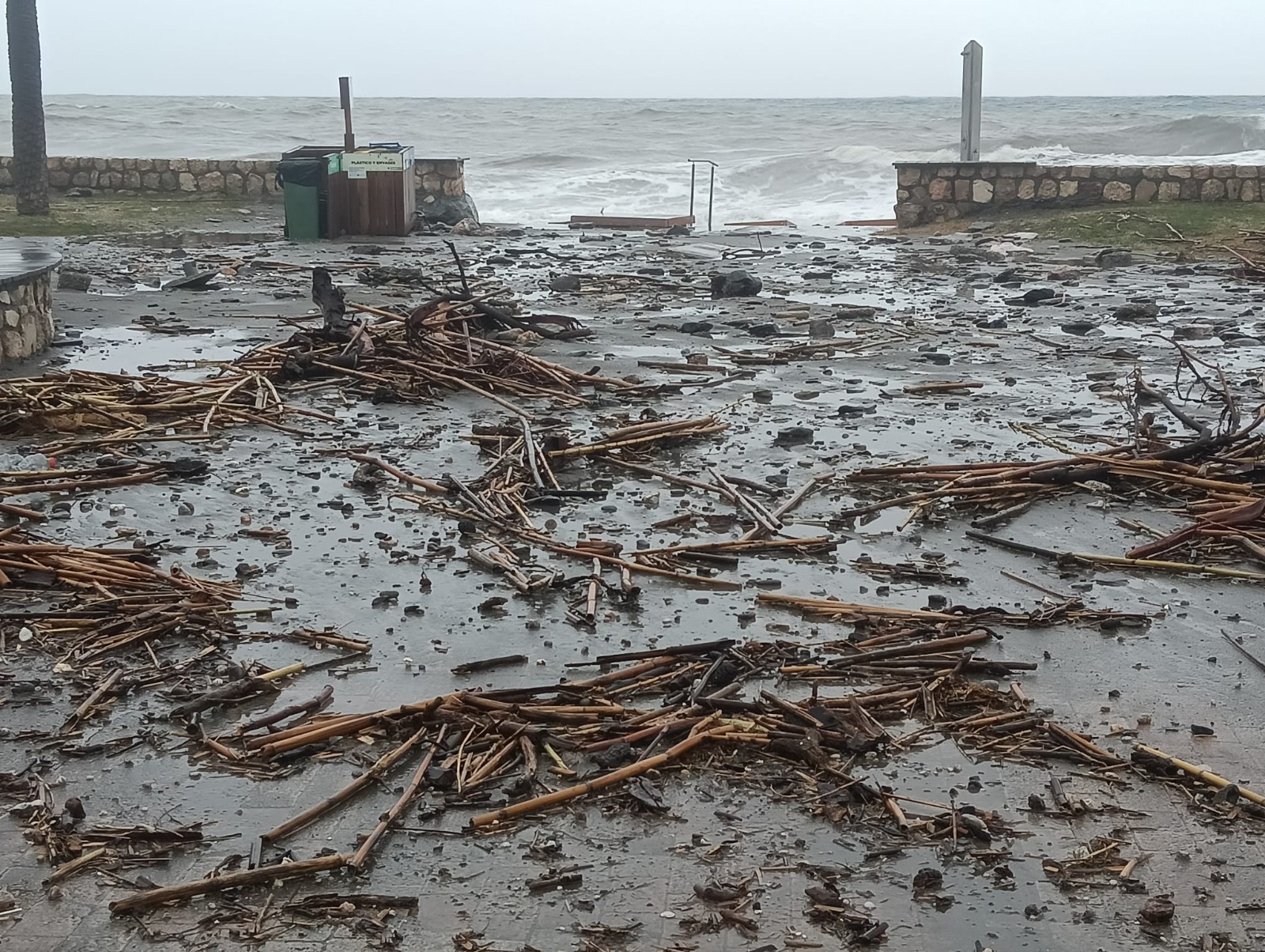 Salobre�a re�ne informaci�n sobre los da�os agr�colas sufridos tras el temporal de enero ante posibles ayudas auton�micas