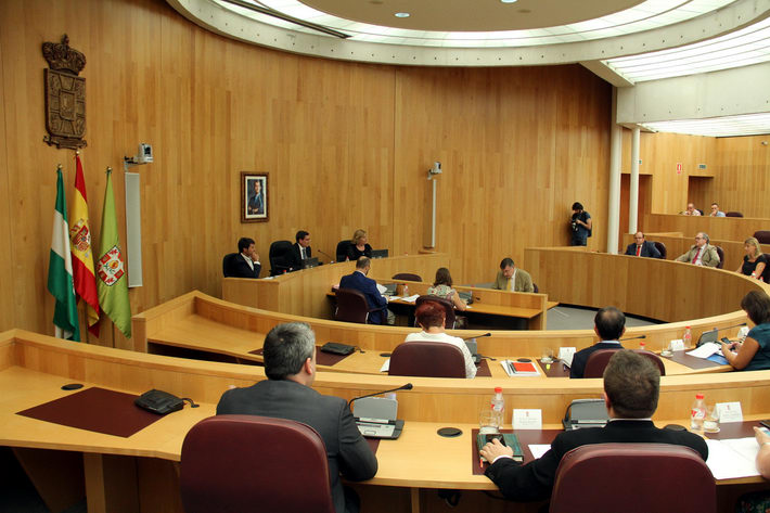 La Diputación aprueba una declaración institucional en defensa de la línea de ferrocarril Granada-Barcelona