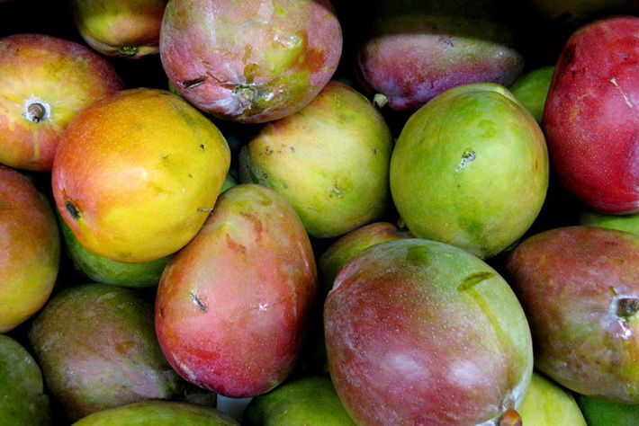 Dos detenidos por robar y vender media tonelada de mangos de Salobrea 
	