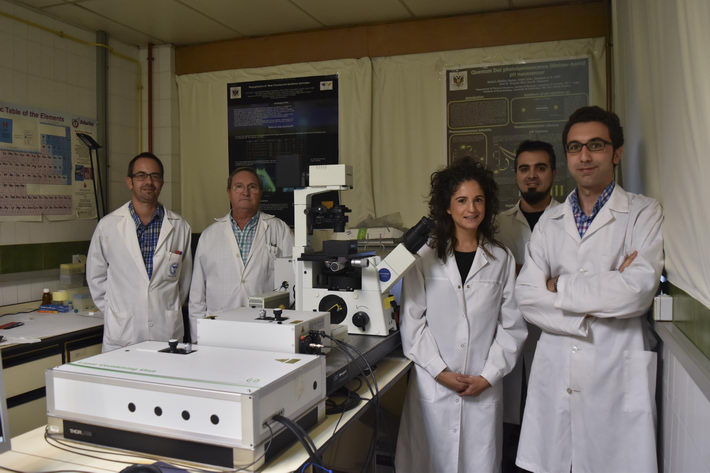 Un nuevo mtodo no invasivo permite diagnosticar de manera precoz  enfermedades como la osteoporosis o el Alzheimer