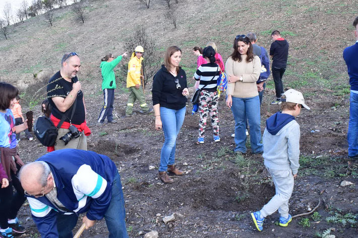 Unos 40 escolares de Gualchos han plantado 150 árboles de alcornoques, pinos carrascos y acebuches en Sierra de Lújar