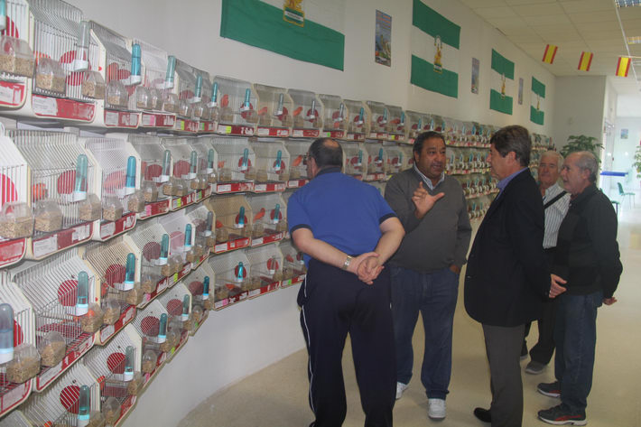 Más de 1600 ejemplares participan en el XXIX Concurso Ornitológico “Ciudad de Almuñécar”