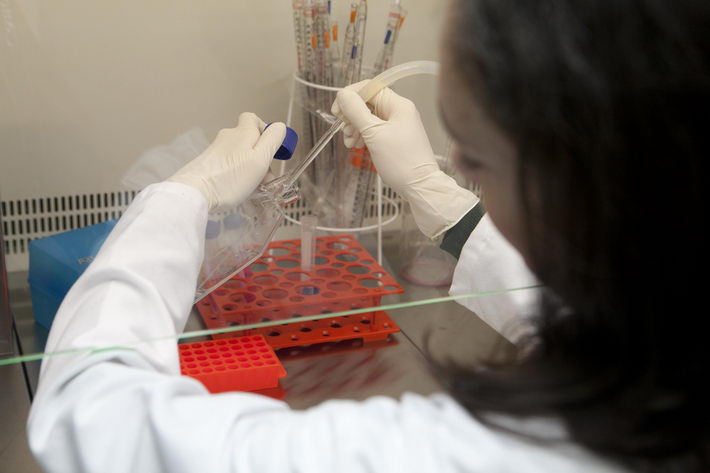 Investigadores de la Consejería de Salud analizan los riesgos de la movilización de genes en las terapias basadas en células madre