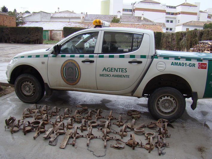 Agentes de Medio Ambiente decomisan en el municipio de Orce 28 cepos de caza prohibidos 