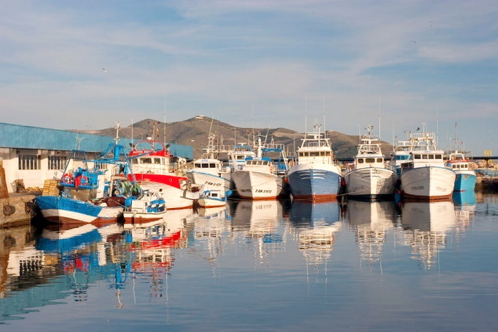 El Grupo de Acción Local de Pesca Costa Granada afirma que las ayudas al sector pesquero siguen sufriendo el bloqueo del Ministerio.