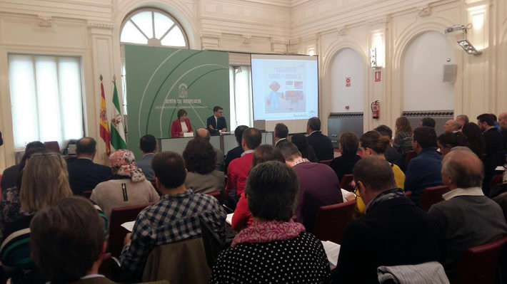 208 viviendas con fines turísticos se han regularizado hasta la fecha en la provincia de Granada