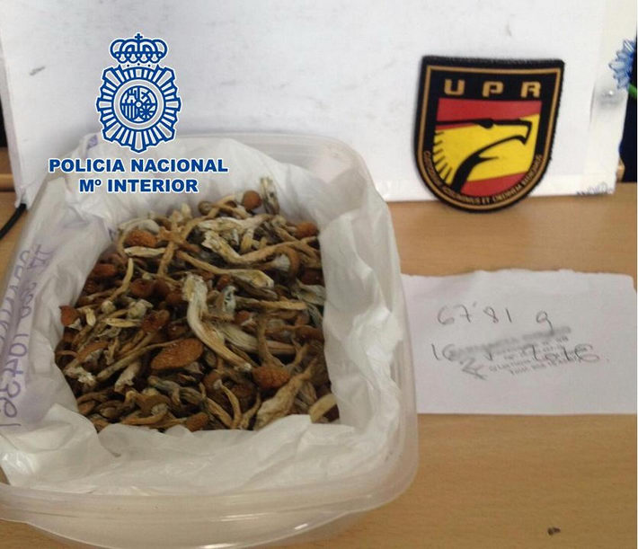 La Policía Nacional detiene a un individuo con un recipiente con setas alucinógenas