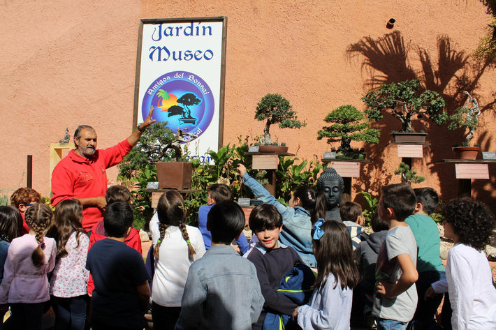 El Jardín Museo del Bonsái de Almuñécar se acerca a los escolares sexitanos con visitas guiadas.