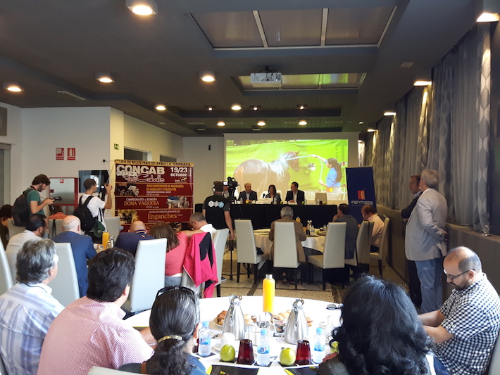 Fermasa, elegida sede del Campeonato  de Europa de Doma Vaquera