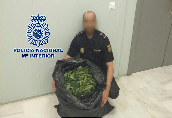 La Polica Nacional detiene a un individuo con ms de 13 kilos de marihuana 
