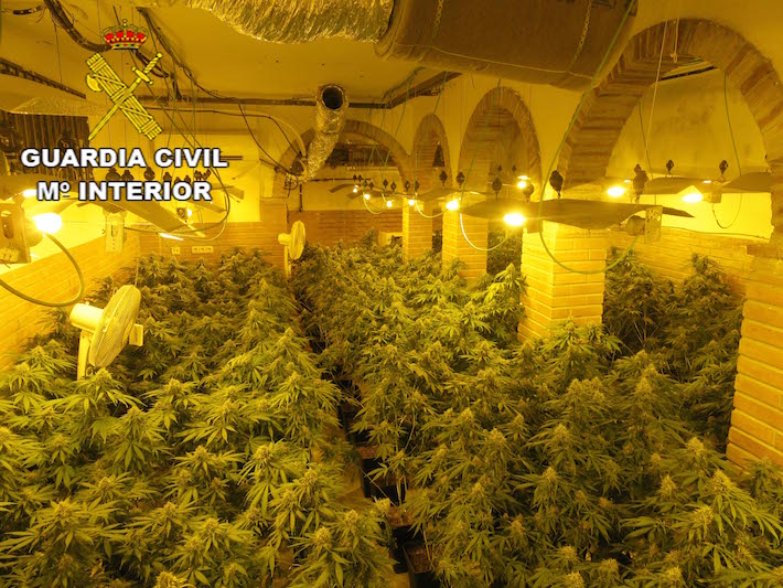 La Guardia Civil interviene 1135 plantas de cannabis sativa en los bajos de un lujoso chalet
