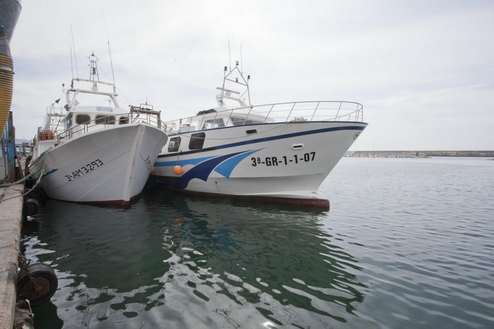 La concejala de Pesca informa que est abierto el plazo para realizar alegaciones y subsanar errores en las solicitudes de ayudas por parada biolgica