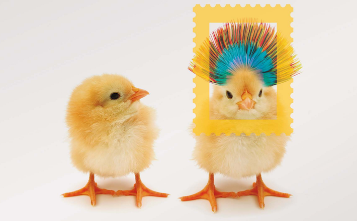 Más de mil personas han participado ya en el III Concurso Nacional de Diseño de Sellos “Disello”, que amplía los plazos de participación