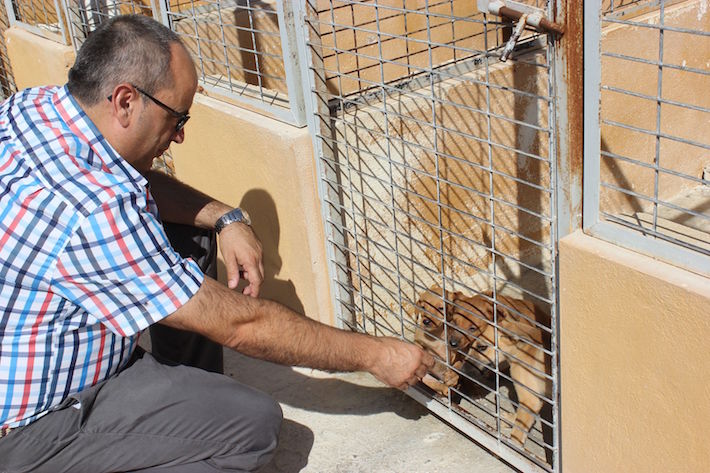 La ‘Campaña de Concienciación, Civilización y Pro-adopción’ anima a los motrileños a adoptar mascotas
 