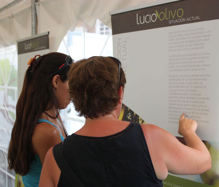 La Plaza de la Aurora acoge la exposición divulgativa itinerante sobre el olivo ‘Lucio, Extra-Tour’