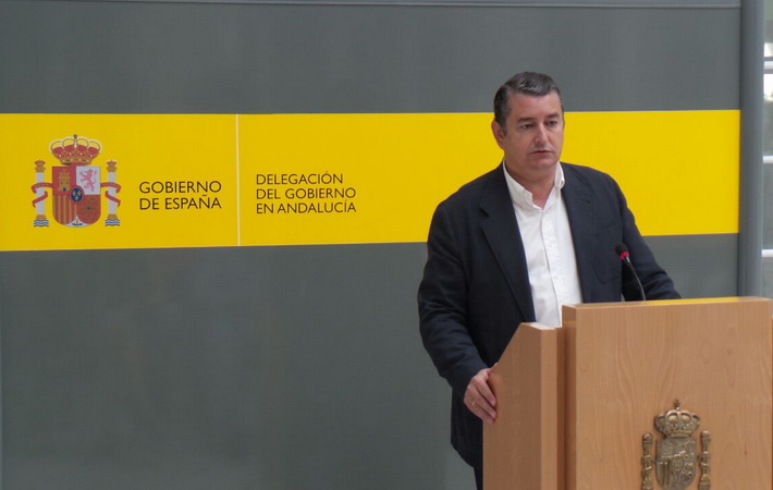 Sanz informa que las medidas del Gobierno han supuesto una oportunidad de empleo para para 206.791 jvenes en Andaluca