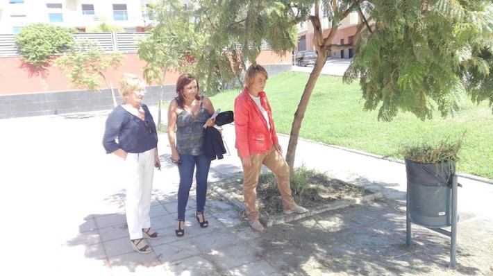 El Partido Popular pide mejoras en la calle Jacaranda y adyacentes