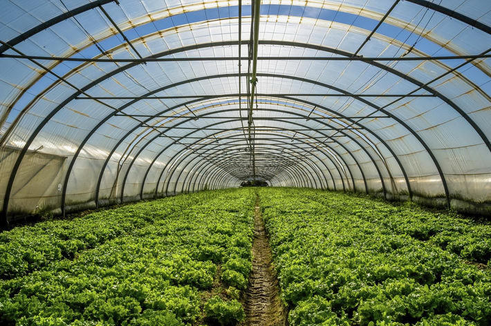 La Junta abre una nueva convocatoria de ayudas para productores afectados por el veto ruso
