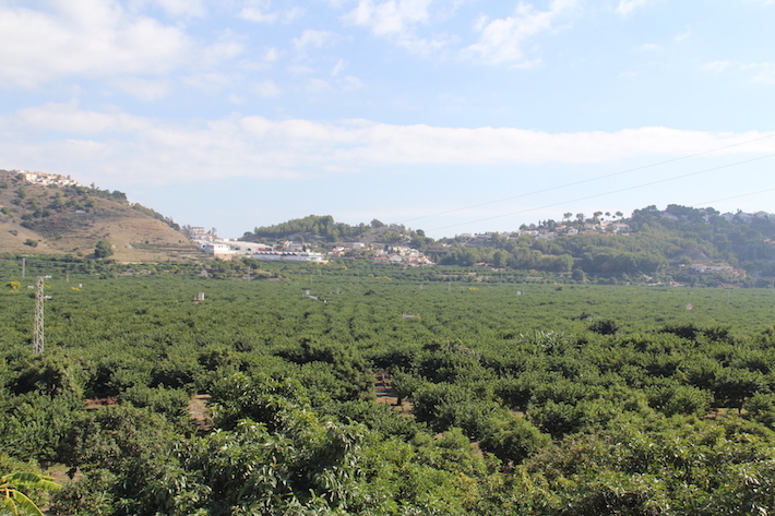 El Sindicato Agrcola COAG informar en Almucar sobre la gestin de explotaciones