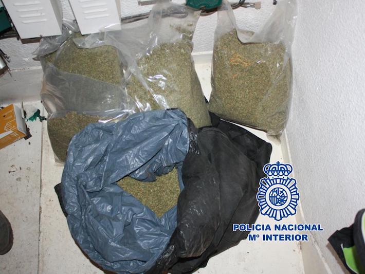 La Policía Nacional detiene a una mujer y desmantela una plantación “indoor”  de cannabis sativa  en vivienda