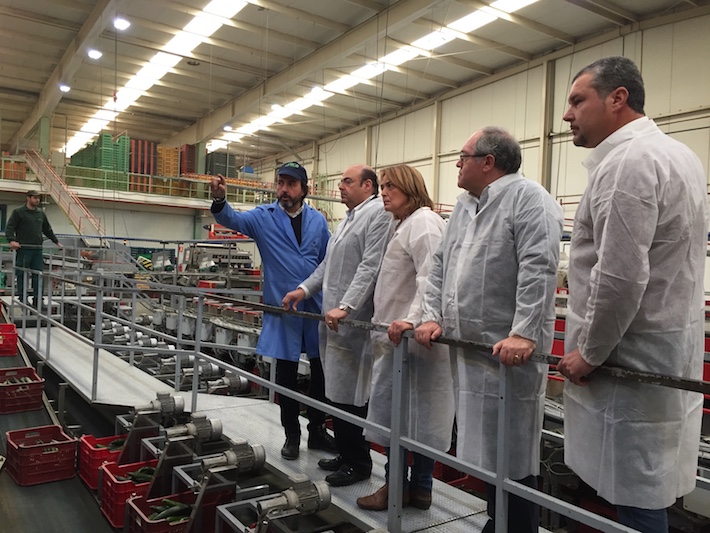 SEBASTI�N P�REZ INSTA A LA JUNTA DE ANDALUC�A A QUE NO �ABANDONE A SU
SUERTE� A LAS COOPERATIVAS HORTOFRUT�COLAS DE LA COSTA TROPICAL