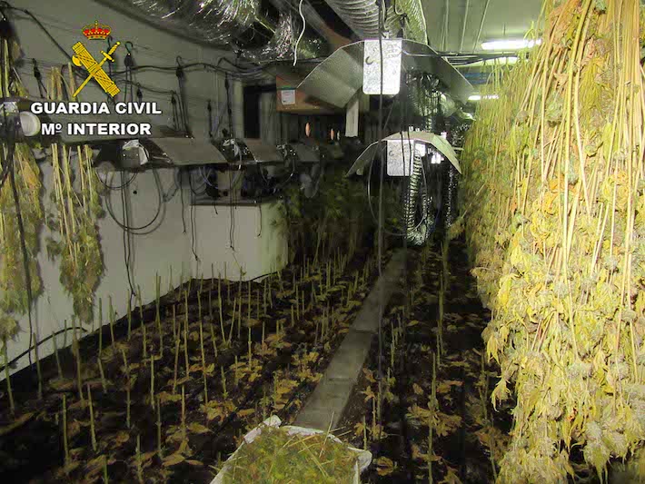 La Guardia Civil y la Polic�a Local descubren m�s de 1600 plantas de marihuana en un chal� de lujo de G�jar

