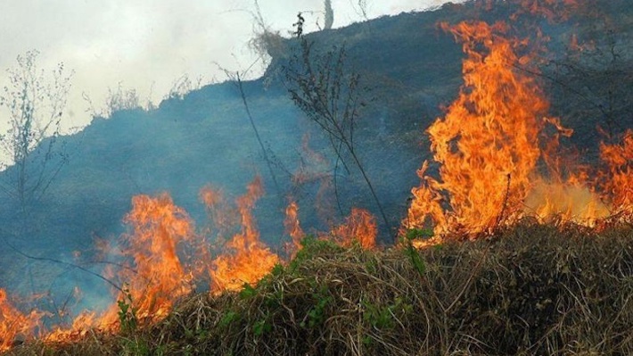 Alumnos de la Villa participan en la campaña medioambiental “No te quemes”