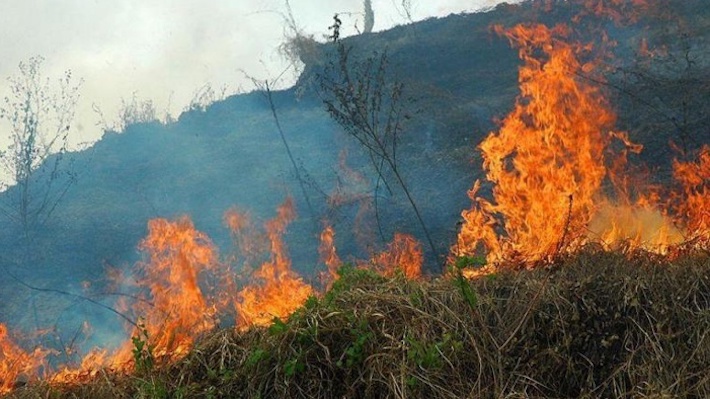 Alumnos de la Villa participan en la campaa medioambiental No te quemes