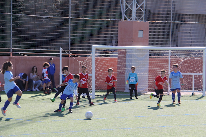 Les informamos sobre las actividades deportivas federadas que se van a celebrar en Almuñécar y La Herradura del 3 al 5 de marzo.