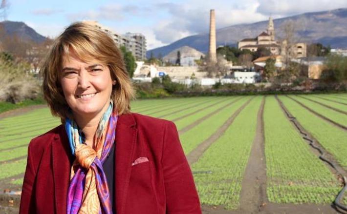 Alm�n a�n no ha creado la Comisi�n de trabajo para consensuar la peatonalizaci�n del centro
