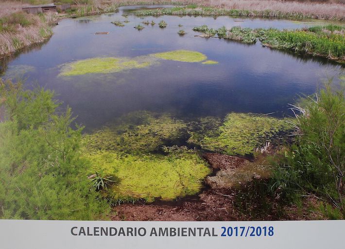Un calendario con fotos de la avifauna que habita en la Charca de Suárez conmemora el 10 aniversario de la Reserva Concertada
 