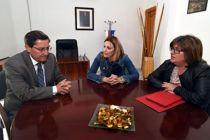 Diputacin reclama la cesin del Puente del Hacho a Guadahortuna y Alamedilla para uso turstico y cultural