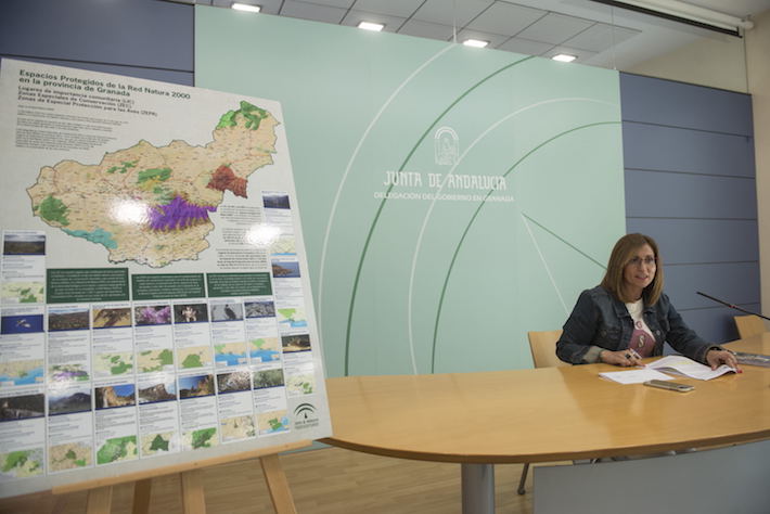 Los espacios naturales granadinos celebran con una veintena de actividades diversas efem�rides dedicadas al Medio Ambiente  
