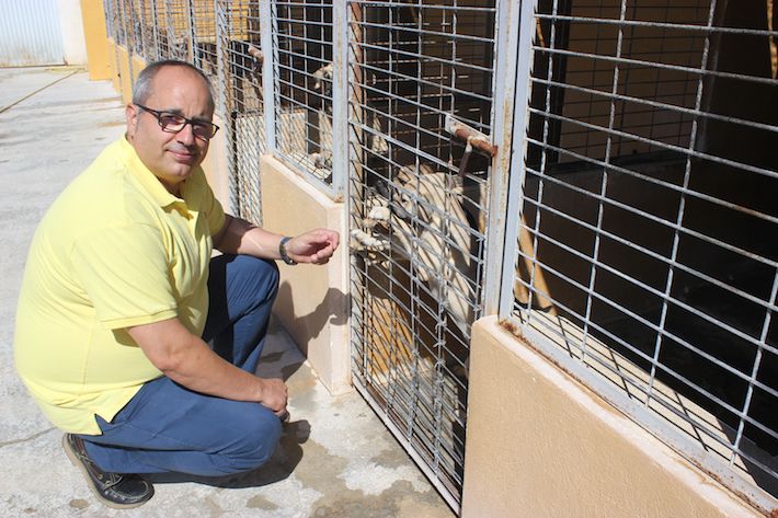El Ayuntamiento de Motril inicia una campaña de concienciación y adopción de mascotas del albergue municipal